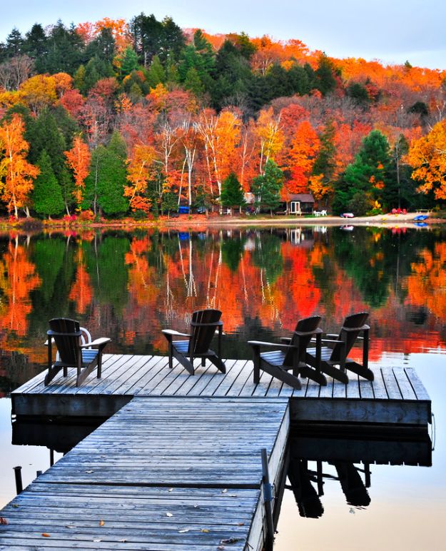 A dock with four Muskoka chairs at the end, looking out on the water. 